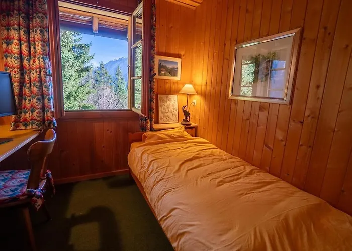 Bouquetins 7 Personnes In Out * 格里翁